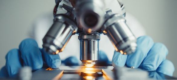 Under the Microscope.jpg