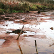 Acid Mine Drainage damage PR.png