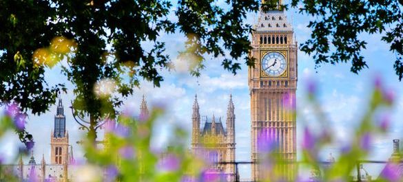 Houses of Parliament and Big Ben, surrounded by tree branches. 