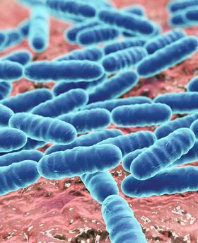 3D blue cluster of bacteria-like cells on a light textured surface.