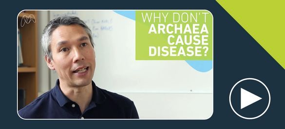 Thumbnail of a video on why don't archaea cause disease