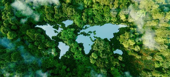 Outline of a world map with the continents surrounded by green forests, instead of oceans. 