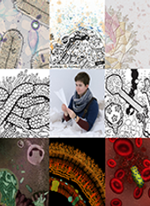 Headshot of Eliza Wolfson