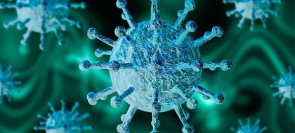 Blue COVID-19 viruses close up. 