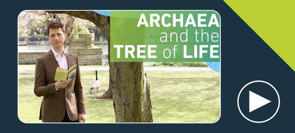 Thumbnail of a video on archaea and the tree of life