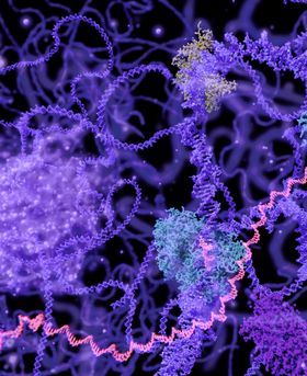 Colourful image of molecules in the cell nucleus during interphase. 