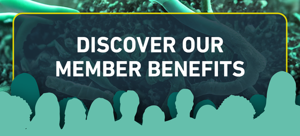 Banner about member benefits