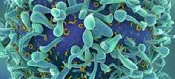 Blue-green virus close up