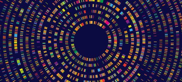 Oscillating multicoloured DNA sequences in rings on navy background. 