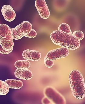 Microscopic image showing multiple red/pink particles scattered on a dark background.