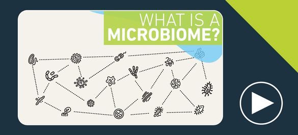 Thumbnail of a video on what is a microbiome