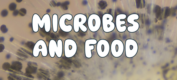 Screenshot 2025-09-17 145214.png