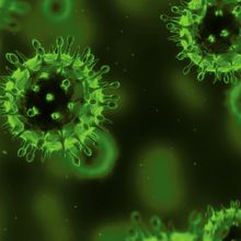 Journal of General Virology cover with multiple green virus particles.