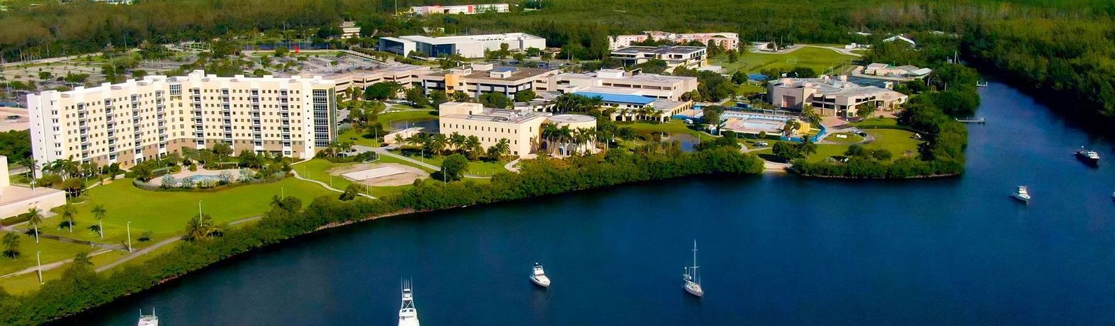 Microbes in Microbiomes_hero image resize.jpg 1