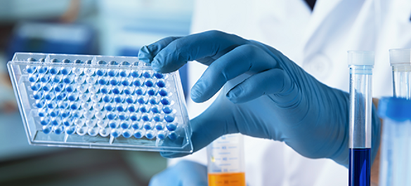 Scientist in gloves and a lab coat holding a microplate with blue samples, working at a busy lab bench
