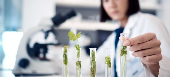  5 test-tubes filled with plants, with a laboratorist and a microscope in the background. 