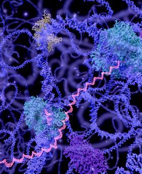 Microscopic image of multiple purple and strands.