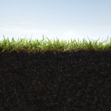 Small World Initiative soil grass