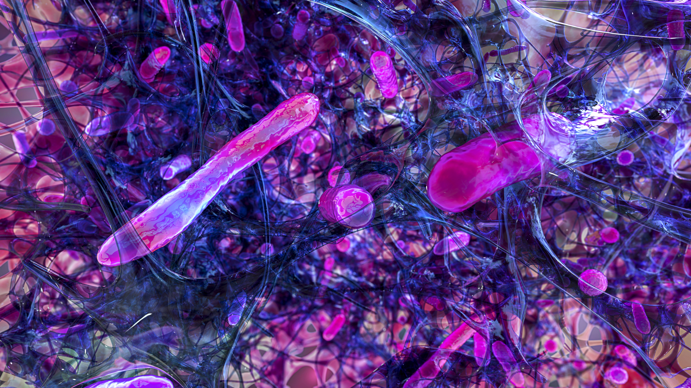 Spherical bacteria and rod-shaped bacteria inside biofilm, illustration. A biofilm is a colony of bacteria that forms a coating on a surface.