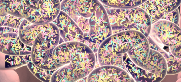 Scientific illustration showing the gut microbiome in the intestine