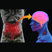 iStock ChrisChrisW.png