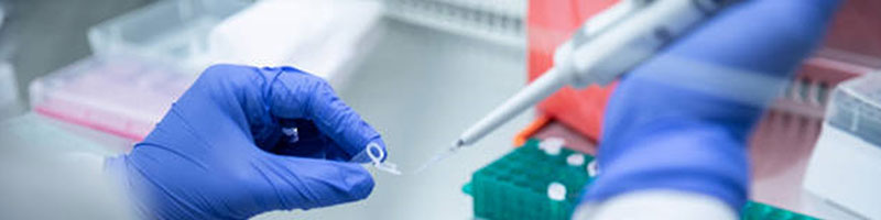 A microbiologist, wearing blue gloves, is pipetting into a test tube. 