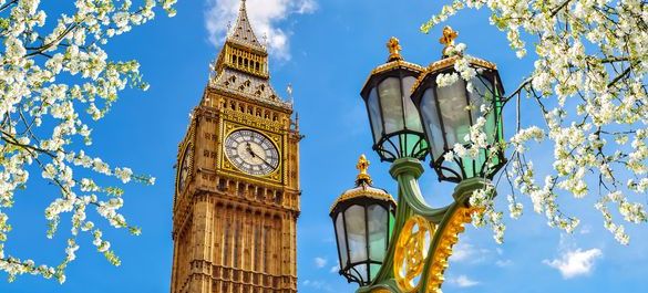 Big Ben surrounded by tree blossoms, a antique streetlight, on a sunny day. 